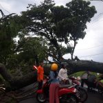 Hujan Angin Campur Petir, Tewaskan Petani dan Hancurkan Rumah Warga