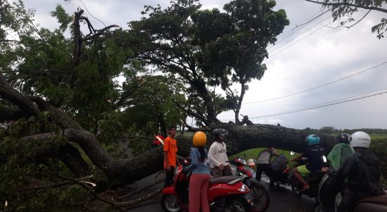 Hujan Angin Campur Petir, Tewaskan Petani dan Hancurkan Rumah Warga