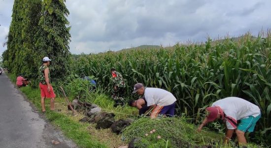 Ciptakan Lingkungan Yang Bersih, Babinsa Srengat Bersama Warga Laksanakan Kerja Bakti