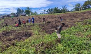 Ketahanan Pangan, Satgas Pamtas Yonif 126/KC Ajak Warga Sulap Tanah Adat Jadi Lahan Produktif Di Perbatasan RI-PNG (V24/AL)