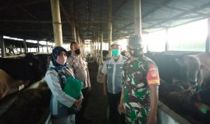 Babinsa Kunti Dampingi Penyerahan Bantuan Sapi (V24/AL)