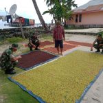 Satgas Kodim Maluku Yonarhanud 11/WBY, Jalin Komunikasi Sosial (Komsos) Dengan Petani Cengkeh Di Negeri Saleman, Sabtu (05/02/2022), (V24/AL)