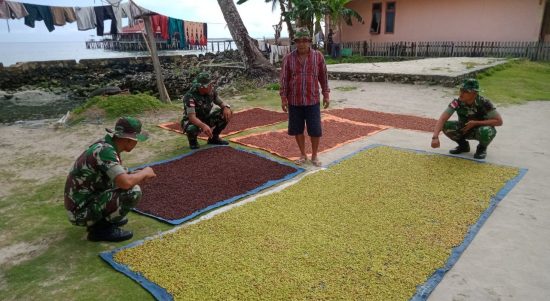 Satgas Kodim Maluku Yonarhanud 11/WBY, Jalin Komunikasi Sosial (Komsos) Dengan Petani Cengkeh Di Negeri Saleman, Sabtu (05/02/2022), (V24/AL)