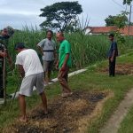 Wujudkan Lingkungan Hijau Babinsa Bersama Warga Tanam Pohon Angsana, Selasa (08/02/2022), (V24/AL)