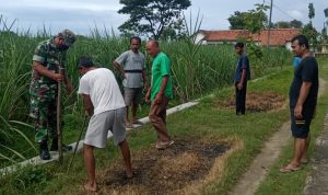 Wujudkan Lingkungan Hijau Babinsa Bersama Warga Tanam Pohon Angsana, Selasa (08/02/2022), (V24/AL)