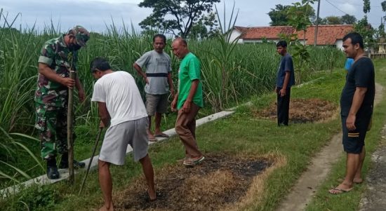 Wujudkan Lingkungan Hijau Babinsa Bersama Warga Tanam Pohon Angsana, Selasa (08/02/2022), (V24/AL)