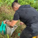 Kabur Saat Digrebek Polisi, Pelaku Judi Sabung Ayam Tinggalkan 7 Ekor Ayam, Minggu (13/02/2022), (V24/AL)