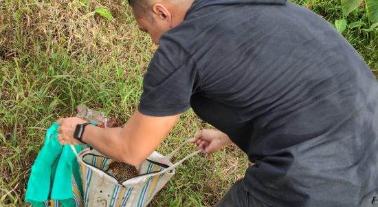 Kabur Saat Digrebek Polisi, Pelaku Judi Sabung Ayam Tinggalkan 7 Ekor Ayam, Minggu (13/02/2022), (V24/AL)