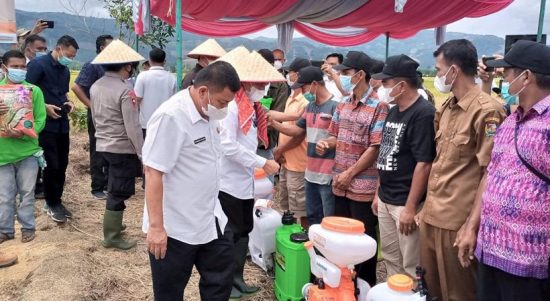 Pulihkan Pertanian, Pangdam I/BB Bersama Forkopimda Sumut Serahkan Sarana Pertanian Kepada Para Petani di Kabupaten Karo, Rabu (16/02/2022), (V24/AL)