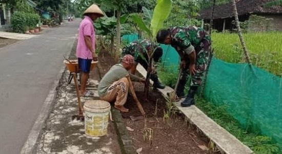Peduli Lingkungan, Babinsa Bantu Warga Menanam Pohon Buah, Jumat (18/02/2022), (V24/AL)