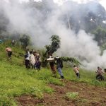 Polda Sumut Musnahkan Dua Hektar Ladang Ganja di Pegunungan Tor Mangompang, Minggu (20/02/2022), (V24/AL)