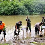 Peduli Lingkungan, Danrem 081/DSJ Tanam 1.000 Pohon Mangrove di Tulungagung, Jumat (04/03/22), (V24/AL)