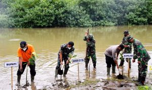 Peduli Lingkungan, Danrem 081/DSJ Tanam 1.000 Pohon Mangrove di Tulungagung, Jumat (04/03/22), (V24/AL)