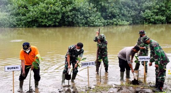 Peduli Lingkungan, Danrem 081/DSJ Tanam 1.000 Pohon Mangrove di Tulungagung, Jumat (04/03/22), (V24/AL)