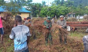 Satgas Membuka Lahan Untu Masyarakat, Sabtu (12/03/2022), (V24/AL)