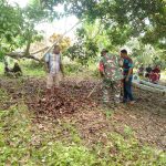 Kebersihan Pemakaman Adalah Bentuk Penghormatan Kepada Almarhum/Almarhumah, Jumat (18/03/2022), (V24/AL)