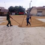 Babinsa Membantu Petani Dengan Gigih dan Perkasa, Rabu (23/03/2022), (V24/AL)