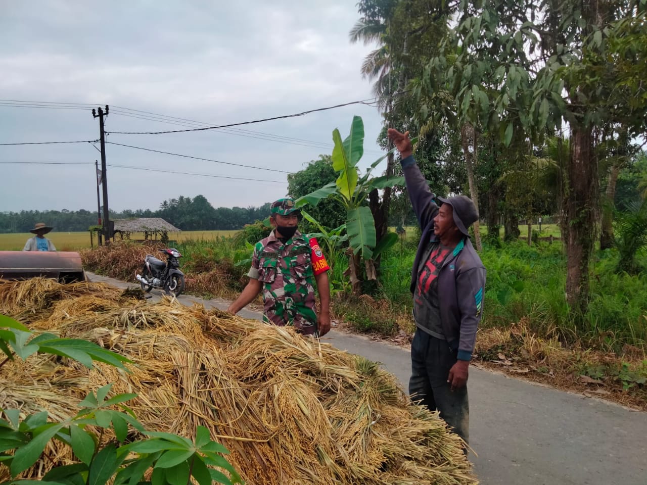 Babinsa Berdiri Bersama Petani di Dekat Tumpukan Padi, Minggu (27/03/2022), (V24/AL)