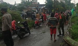 Pohon yang Megah Gugur Melawan Angin yang Perkasa, Senin (28/03/2022), (V24/Rudi)
