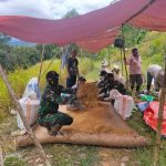 Satgas Berkumpul Bersama Warga Setelah Memanen Padi, Rabu (30/03/2022), (V24/AL)