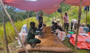 Satgas Berkumpul Bersama Warga Setelah Memanen Padi, Rabu (30/03/2022), (V24/AL)