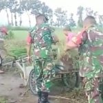 Satgas Membersihkan Lingkungan Perkampungan. Sabtu (02/04/2022), (V24/Madli)