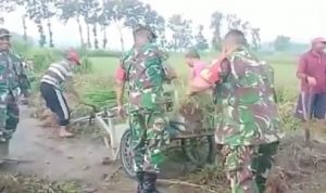 Satgas Membersihkan Lingkungan Perkampungan. Sabtu (02/04/2022), (V24/Madli)