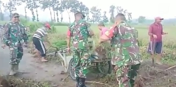 Satgas Membersihkan Lingkungan Perkampungan. Sabtu (02/04/2022), (V24/Madli)