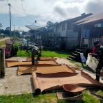 Padi Darat yang telah Dipanen Dijemur di Darat, Senin (04/04/2022), (V24/AL)