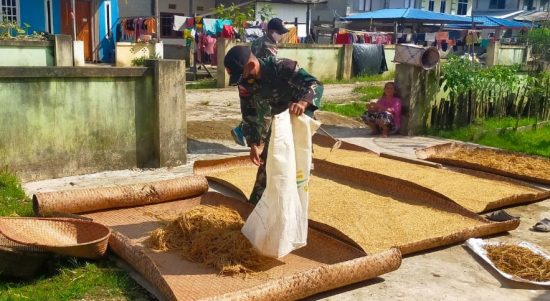 Selain Bermanfaat Untuk Manusia, Berjemur Dapat Mempermudah Proses Pengeringan Padi, Senin (04/04/2022), (V24/AL)