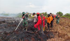 Kebarakan Hutan Merugikan Sejumlaj Petani, Jumat (08/04/2022), (Foto: V24/AL)