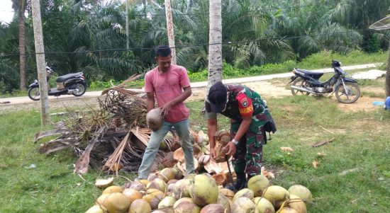Kelapa Dapat Menyegarkan Masyarakat di Hari yang Panas, Minggu (10/04/2022), (Foto: V24/AL)
