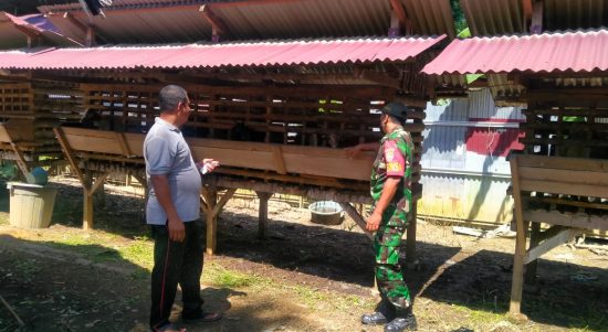 Peternakan Dapat Menghasilkan Bahan Makanan Untuk Masyarakat, Minggu (10/04/2022), (Foto: V24/AL)