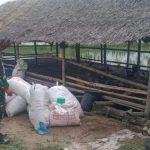 Babinsa Memberikan Motivasi Kepada Peternak Bebek, Minggu (10/04/2022), (Foto: V24/AL)