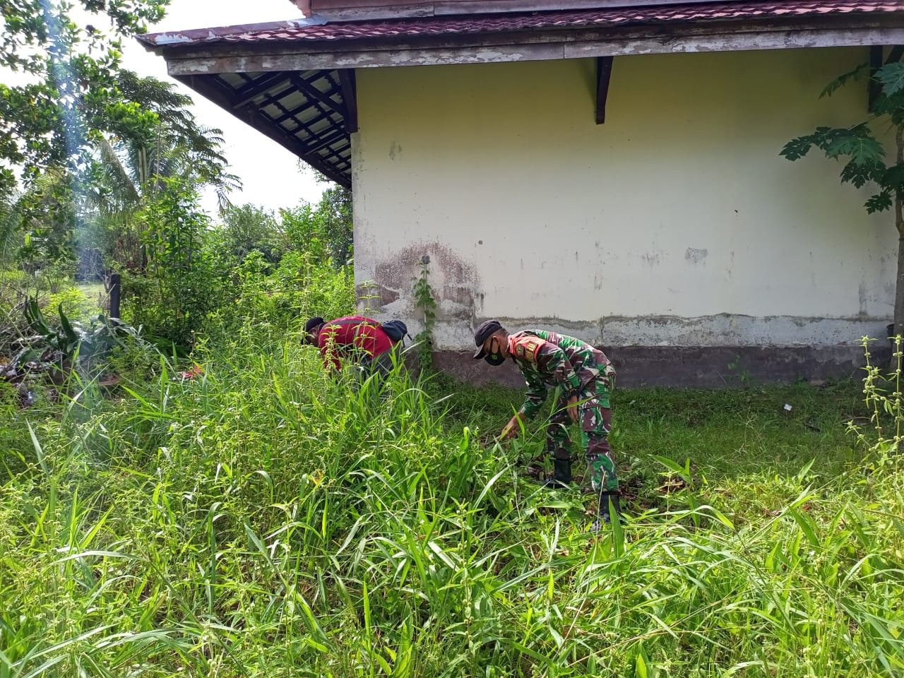 Rumput yang Panjang Menyelimuti Lapangan Sekolah, Selasa (12/04/2022), (Foto: V24/AL)