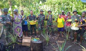 Masyarakat Perbatasan Gemar Memanen Jagung Bersama TNI, Minggu (17/04/2022), (Foto: V24/AL)
