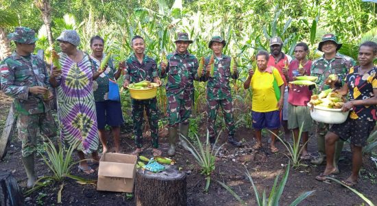 Masyarakat Perbatasan Gemar Memanen Jagung Bersama TNI, Minggu (17/04/2022), (Foto: V24/AL)