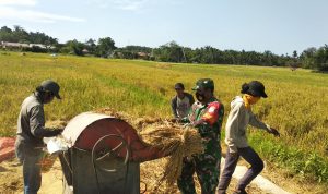 Kepedulian TNI Dalam Upaya Menjaga Ketahanan Pangan, Senin (18/04/2022), (Foto: V24/AL)