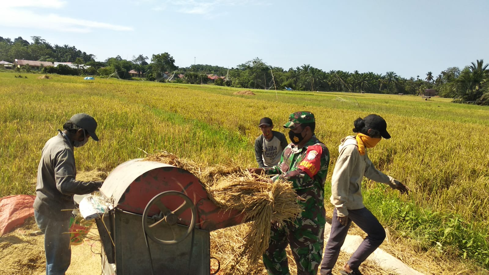 Kepedulian TNI Dalam Upaya Menjaga Ketahanan Pangan, Senin (18/04/2022), (Foto: V24/AL)