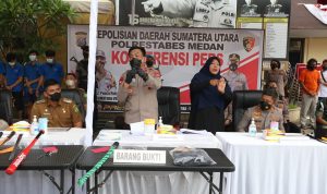 Sebanyak 135 Premanisme Dan Pelaku Kejahatan di Jajaran Polda Sumut dan Polrestabes Ditangkap, Selasa (26/04/2022), (Foto: V24/M.anwar) Sebanyak 135 Premanisme Dan Pelaku Kejahatan di Jajaran Polda Sumut dan Polrestabes Ditangkap, Selasa (26/04/2022), (Foto: V24/M.anwar)