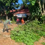 Kegiatan ini Dilakukan Oleh 6 Orang Anggota Pos Komando Taktis (Kout), Jumat (29/04/2022), (Foto: V24/AL)