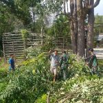 Jalan Desa Riam Sejawak ini Merupakan Jalan Desa Yang Terhubung ke Desa Wak Sepan, Sabtu (07/05/2022), (Foto: V24/AL)