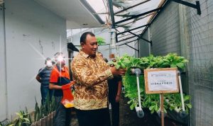 Tanaman Sayur Tersebut Adalah Salah Satu Hasil Kegiatan Positif Warga Binaan, Minggu (08/052022), (Foto: V24/M.anwar)