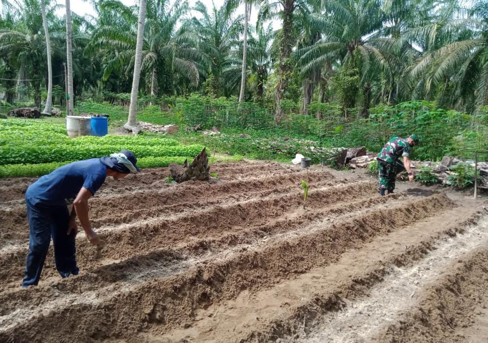 salah satu petani mengawali kegiatannnya dengan melakukan pemupukan benih bayam, Minggu (08/05/2022), (Foto: V24/AL)