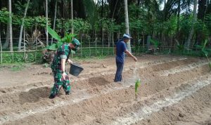 Kegiatan Pendampingan ini Merupakan Salah Satu Bagian dari Kegiatan Babinsa, Minggu (08/05/2022), (Foto: V24/AL)