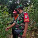 Kegiatan Pendampingan dengan Membantu Petani Merawat Tanaman Kacang Panjang, Jumat (13/05/2022), (Foto: V24/AL)