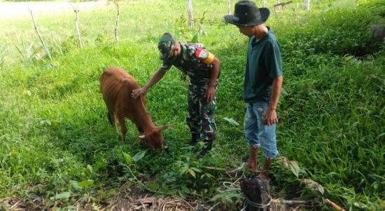Kekhawatiran Tersebut Disampaikan Oleh Muenasa Ali Warga Desa Seuneubok Kulam, Senin (16/05/2022), (Foto: V24/AL)