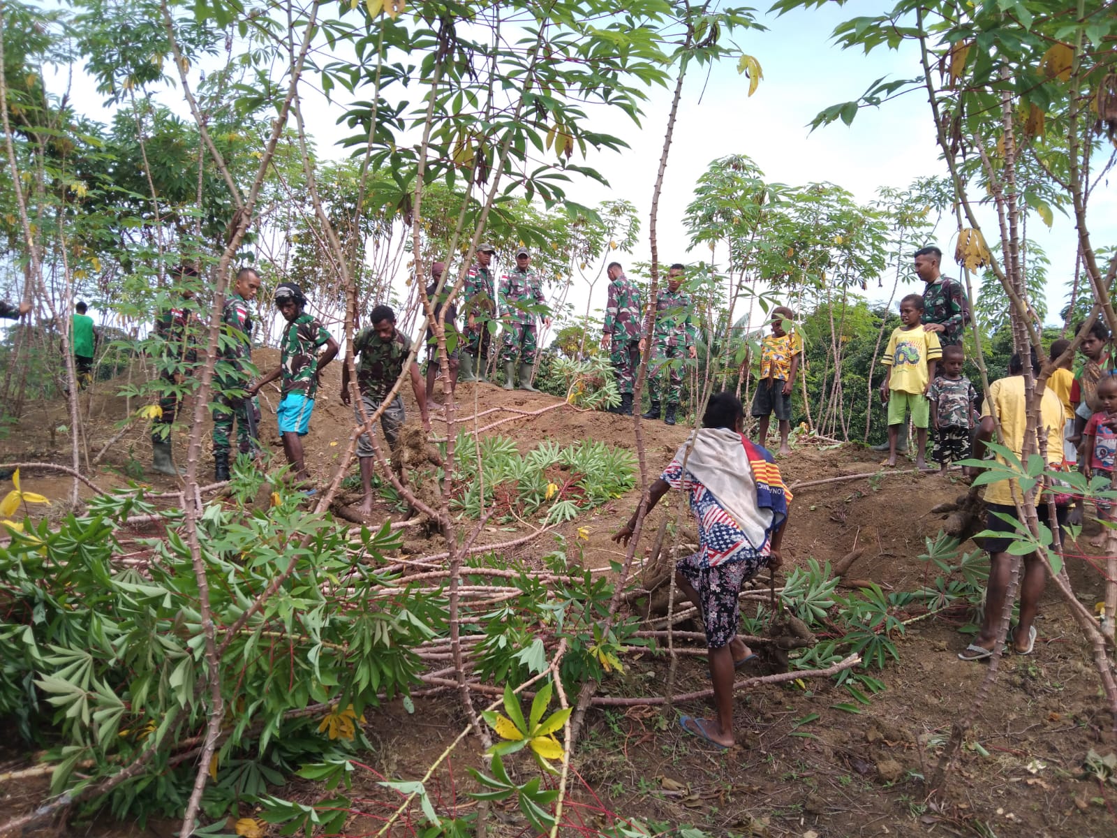 Pos KM 140 Bersama Masyarakat Panen Singkong di Kampung Monggoefi, Selasa (17/05/2022), (Foto: V24/AL)