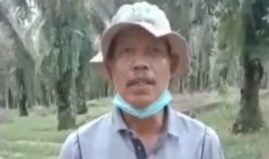 Ketua Gapotan Wada Agung Kecamatan Bagan Sinembah , Sabtu (21/05/2022), (Foto: V24/Reza)