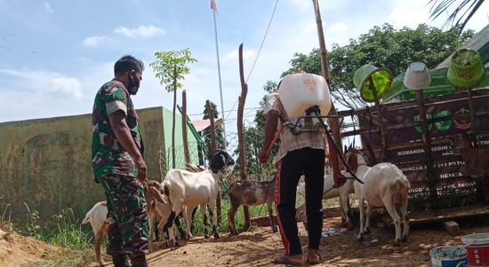 Kegiatan Dilakukan Sebagai Upaya Pencegahan Terhadap Wabah PMK, Minggu (22/05/2022), (Foto: V24/AL)